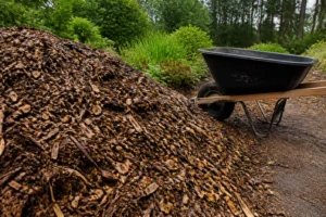Tas de copeaux de bois frais dans un jardin avec brouette, prêts à être utilisés comme paillis