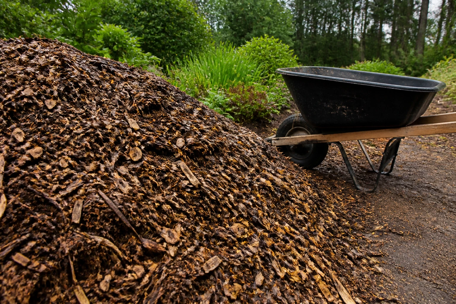 Tas de copeaux de bois frais dans un jardin avec brouette, prêts à être utilisés comme paillis