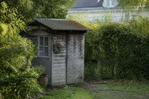 Vieux abri de jardin en bois dans un jardin français, entouré de haies et baigné de lumière naturelle