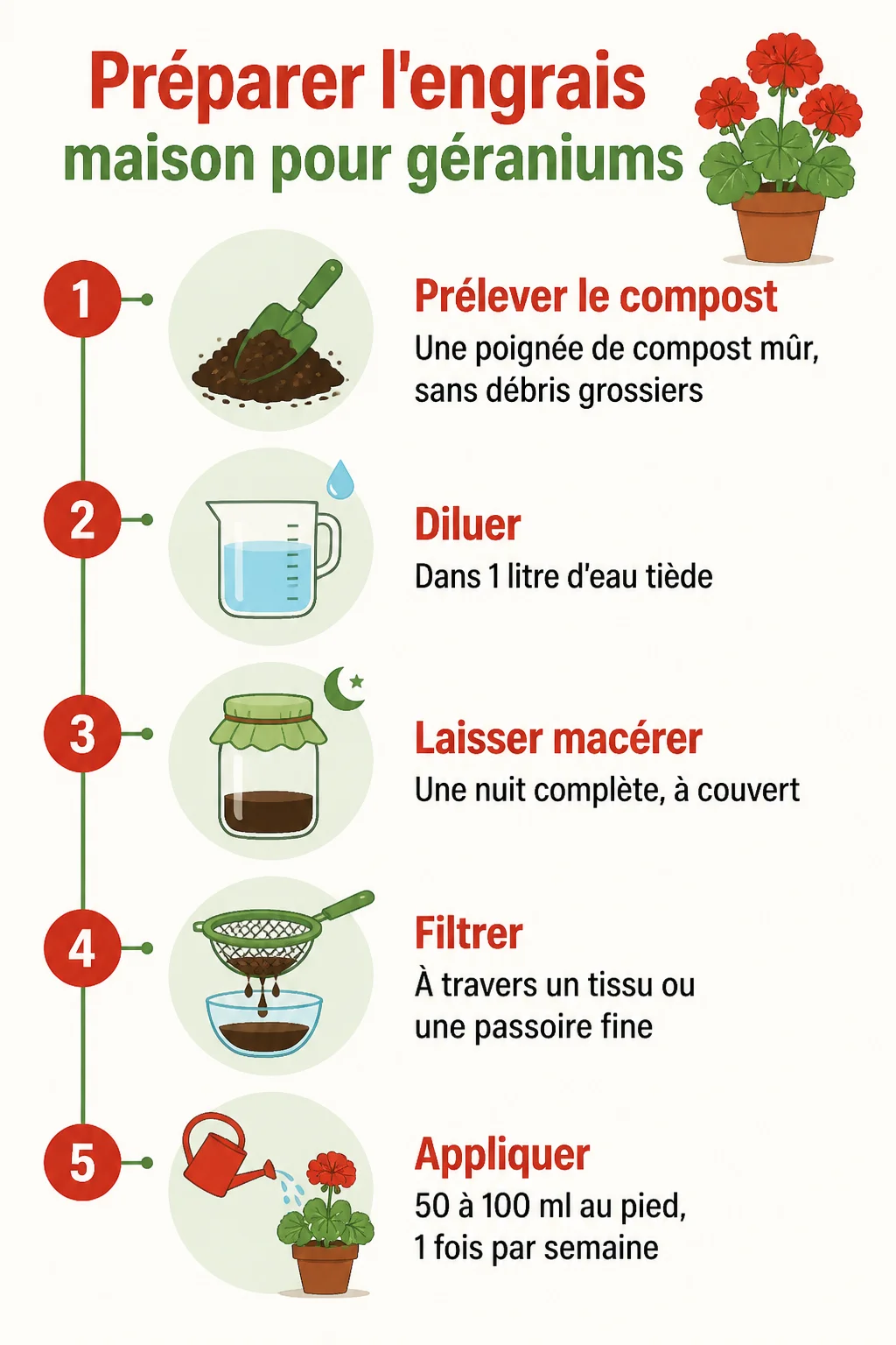 Préparer l'engrais maison pour géraniums : 1. Prélever le compost, 2. Diluer, 3. Laisser macérer, 4. Filtrer, 5. Appliquer